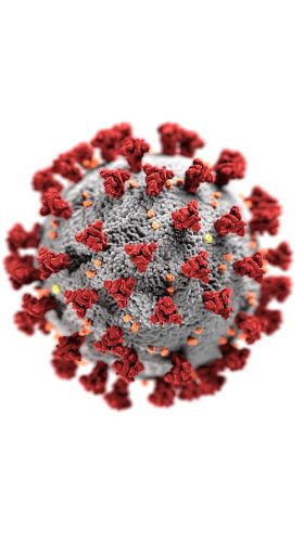 Coronavirus_SARS-COV-2_Covid19_[c]